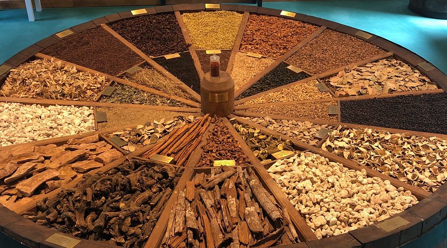 MUSEO E CANTINE BRANCA