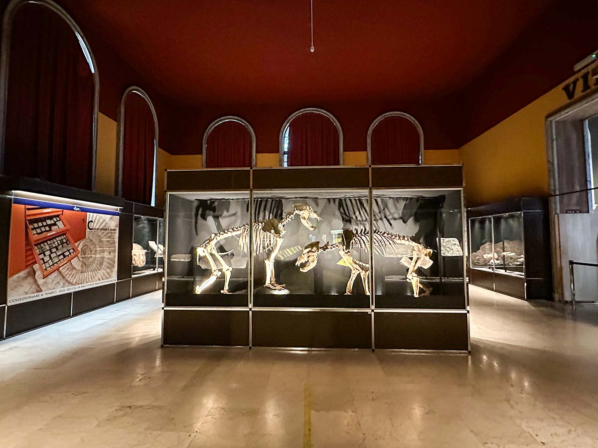 VISITA AL MUSEO DI STORIA NATURALE